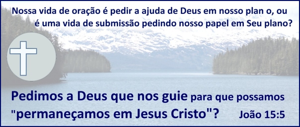 Será que nossa vida de oração é pedir ajuda a Deus em nosso plano ou é uma vida de submissão para pedir a Ele nosso papel em Seu plano?

Pedimos a Deus que faça a liderança para que possamos “permanecer em Jesus Cristo”? João 15:5